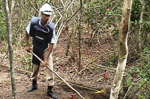 Demining operations